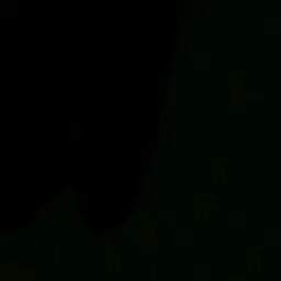 Profile image of 태 양