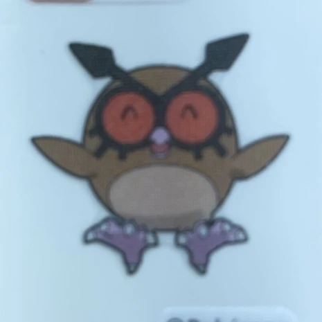 무현 갈매기