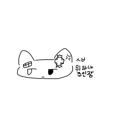 Profile image of 화일