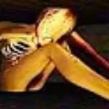 Profile image of The visitor