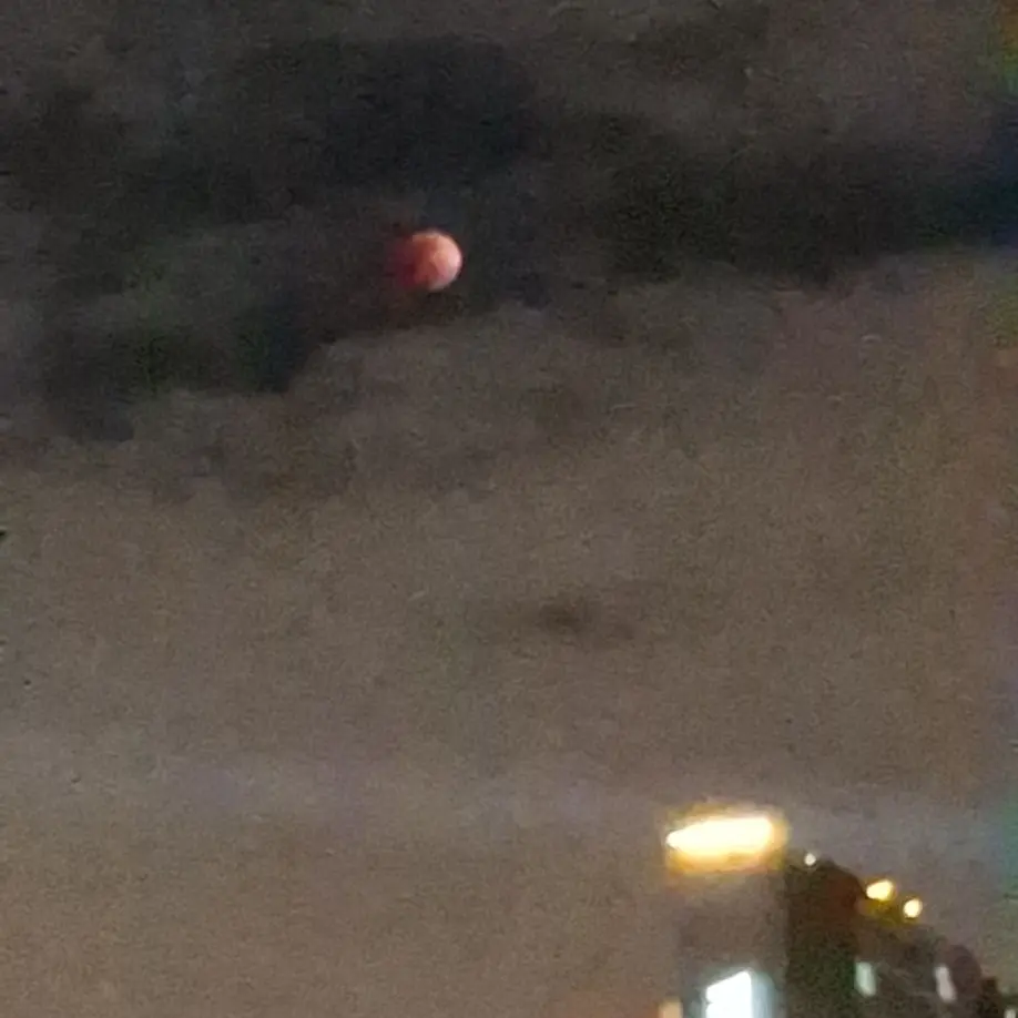 BlandStage2002의 차별하는 선생님