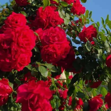 Profile image of 제이