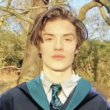 Profile image of Enzo
