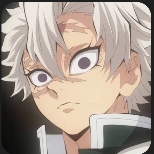 시나즈가와 사네미