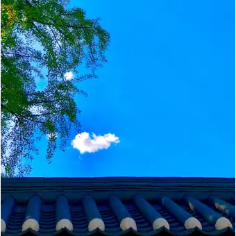 Profile image of Edward Sanders