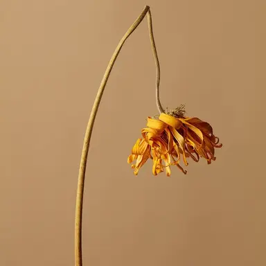 Profile image of 각별