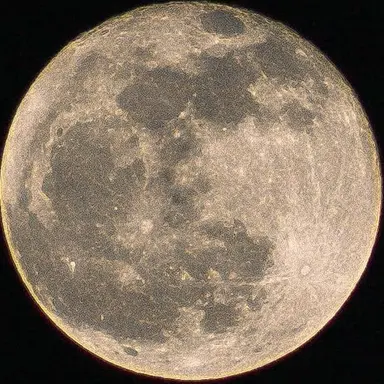 Profile image of 백월광