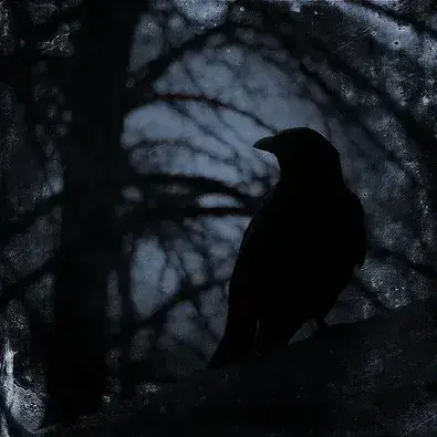 SlimMind8911의 Vampire Apocalypse