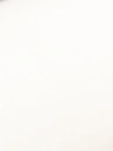 AmusedBooth2383의 오세이사 (스포있음)