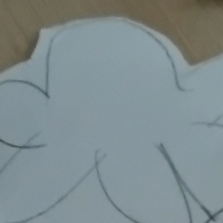 스프라우트