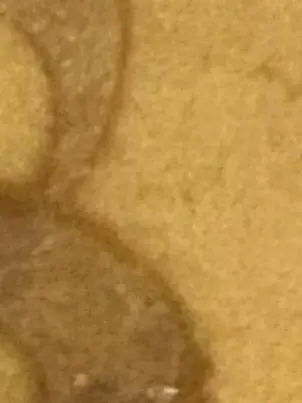 yume1124의 誹謗中傷……病み