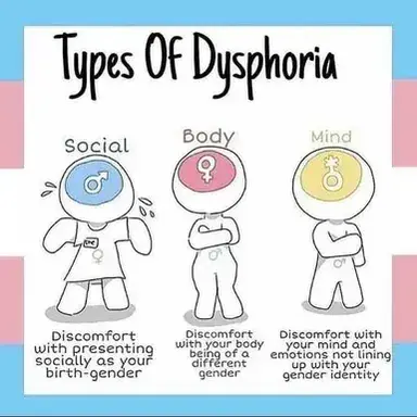 Profile image of Mr. Harrison