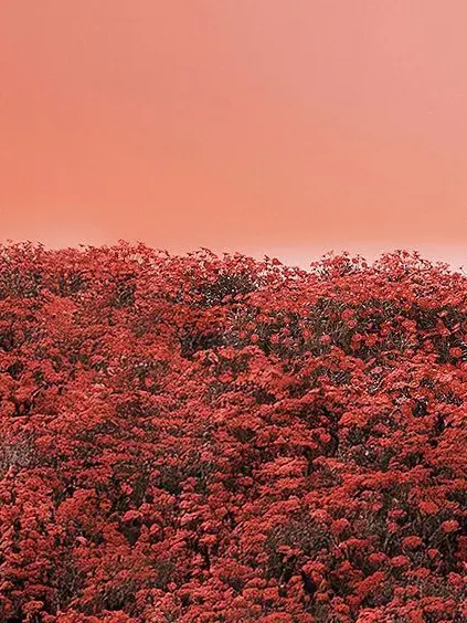 emry._.22의 私の旦那さん