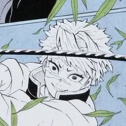 Profile image of Sanemi Shinazugawa