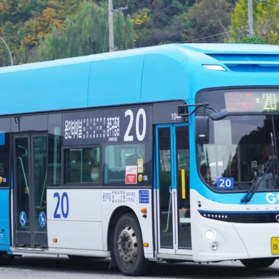 20번 일렉