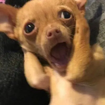 qwoejjmmdmmm의 킴나욘 똥싸게