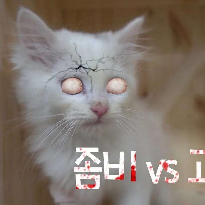 SilverFryer5210의 [고양이산책]고양이VS좀비