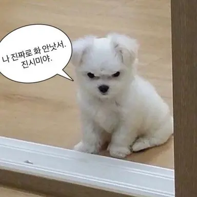 Profile image of 니나