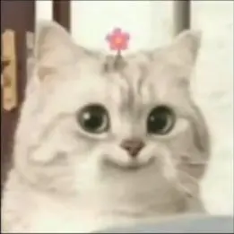 Profile image of 즈언
