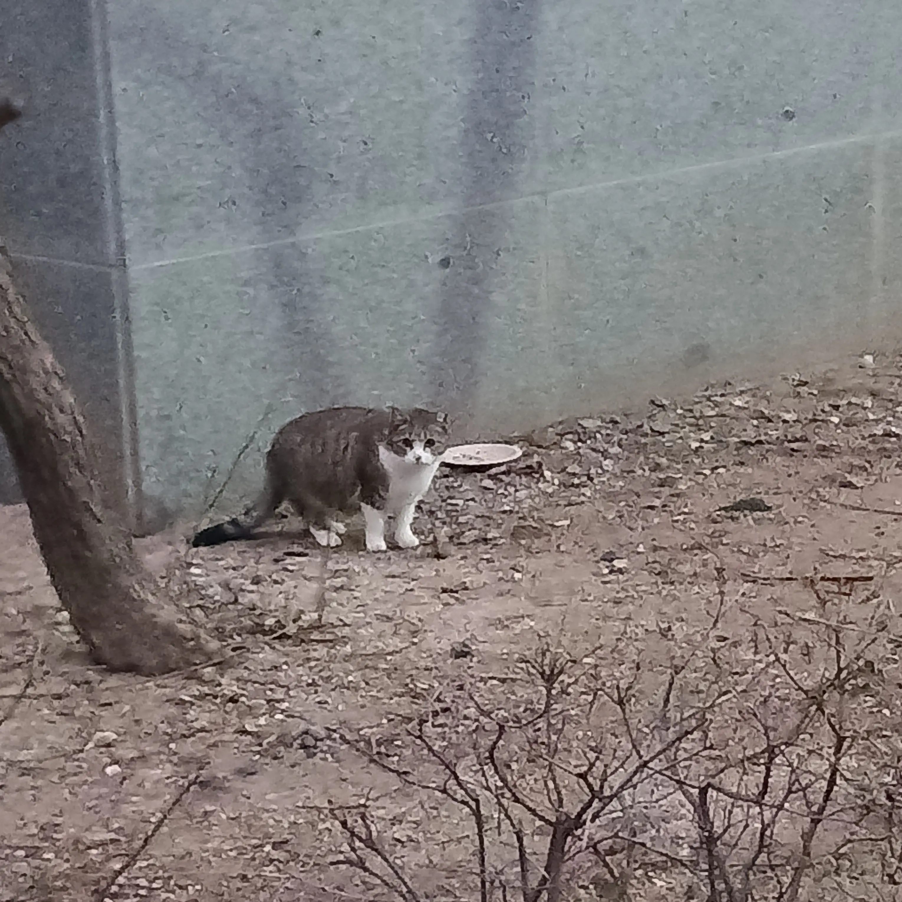 VitalSheaf4146의 사쿠야 붙잡는 나쁜여주