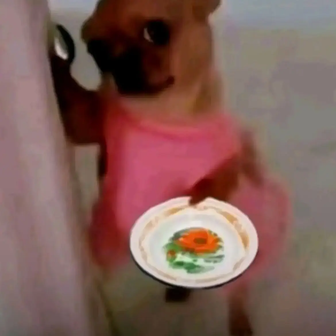 FatalCrew8600의 고고프렌즈 비행기