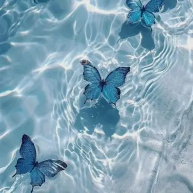 Profile image of 권지용