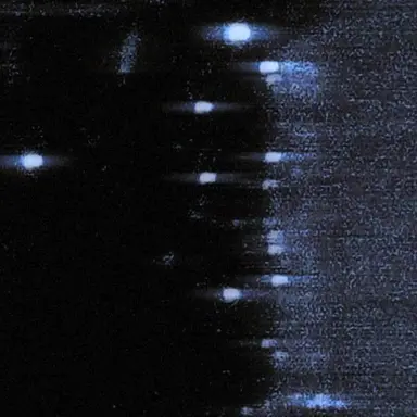 Profile image of 차정하