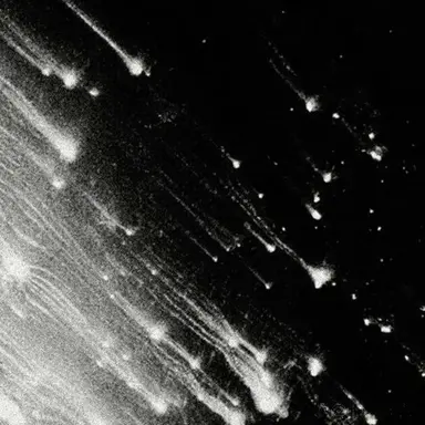 Profile image of 차정운