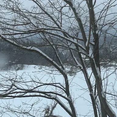 Profile image of 佐野勇斗