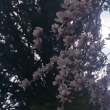 Profile image of 이 조 걸