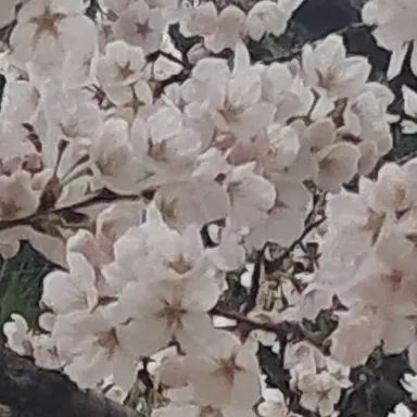 Profile image of 이 윤 종