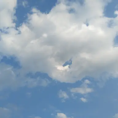 Profile image of 정부군