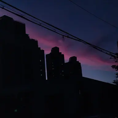 Profile image of 여우