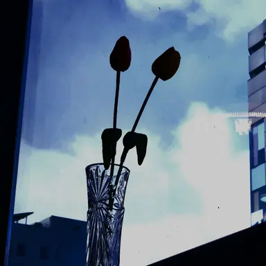 Profile image of 나적봉