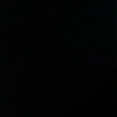 Profile image of 이사벨
