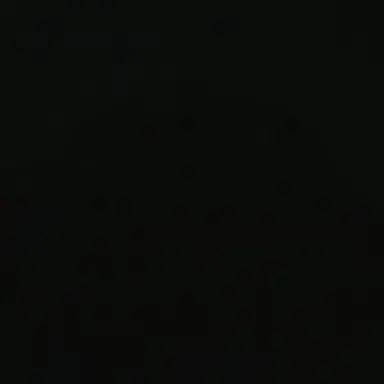 Profile image of 김애리