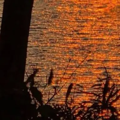 Profile image of 덕개