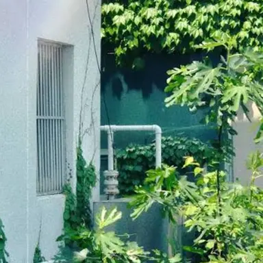 Profile image of 공룡