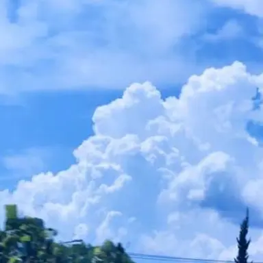 Profile image of 잠뜰