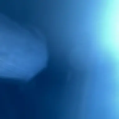 Profile image of 若井