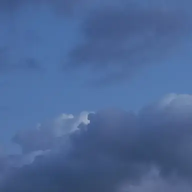 Profile image of 고고와팀나와밤보눈