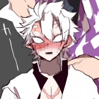 Profile image of 시나즈가와 사네미