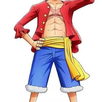 Profile image of ルフィ