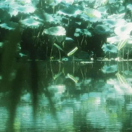 IndigoEland4769의 행추