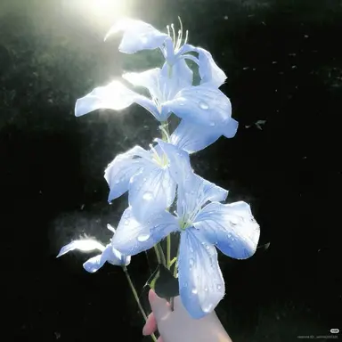 Profile image of 파이브