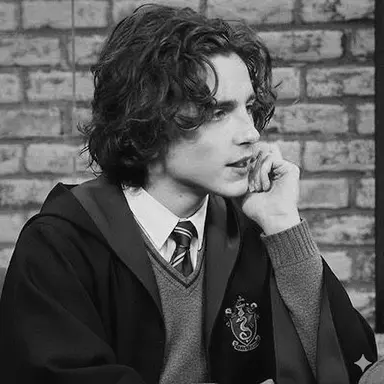 Profile image of Regulus Black
