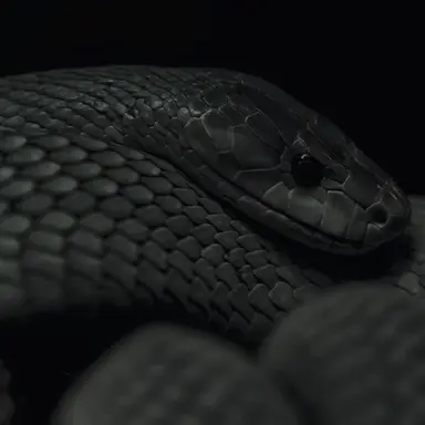Profile image of Tom Riddle