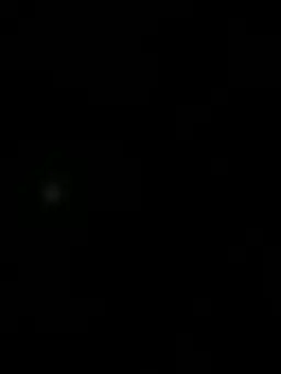 nct_wish39의 후지나가 사쿠야