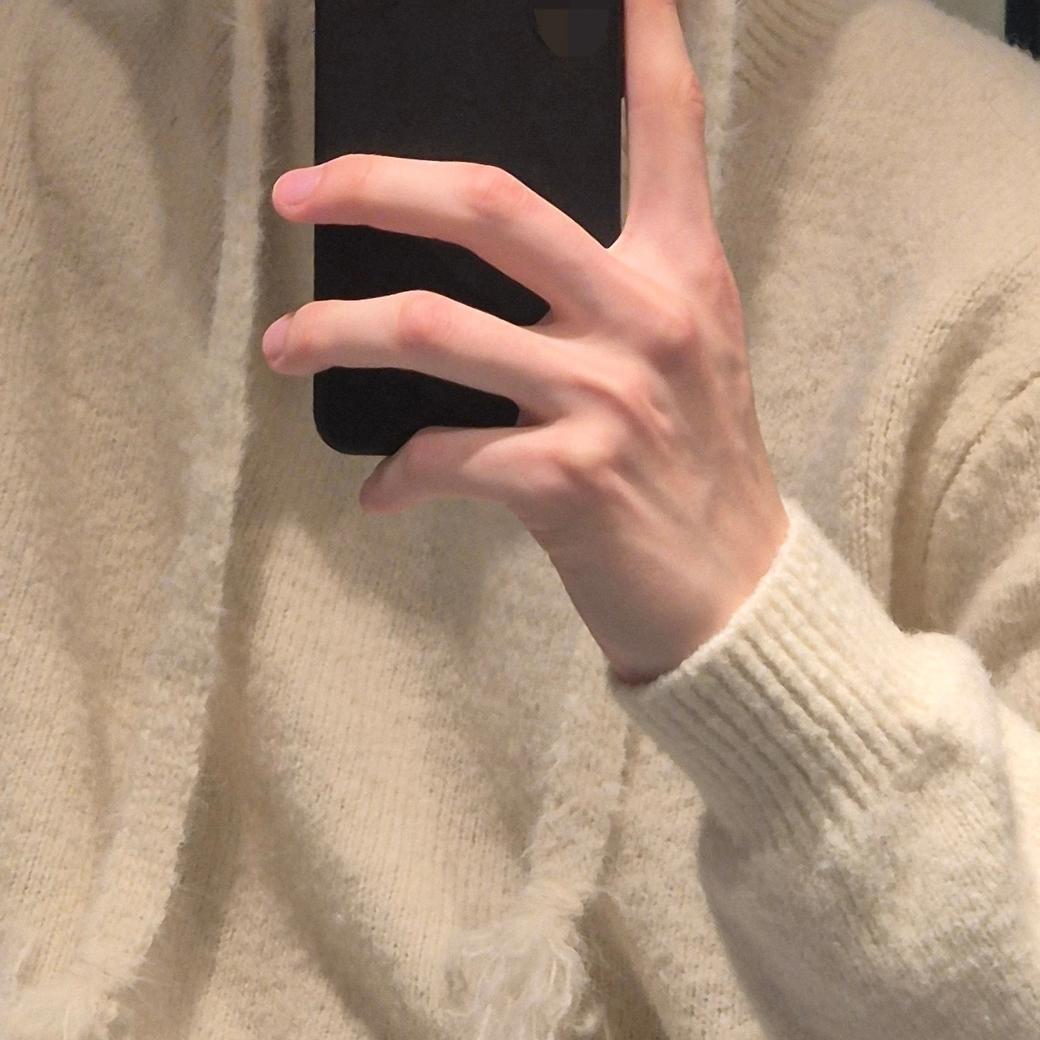 류지안