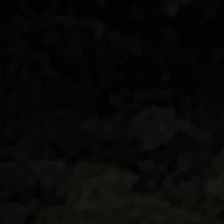 최 승현